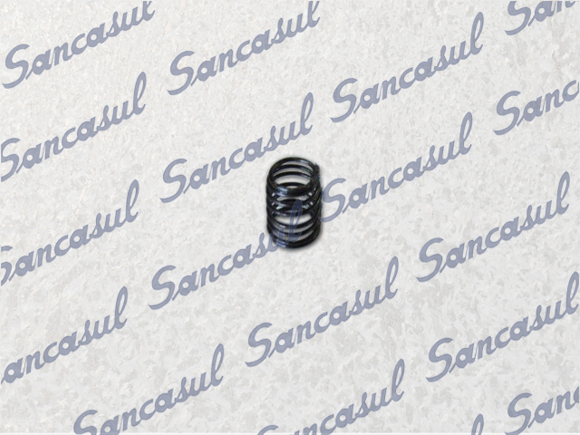 VALVE SPRING SMC180 